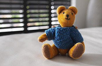 Miscellanea, Miscellaneous, Bear, Toy, Blouse, Jersey HD wallpaper