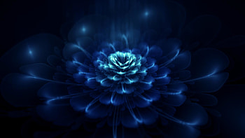 Midwinter-blue-abstract-flower HD wallpaper