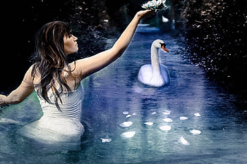 Time Past, girl, swan, fantasy, water HD wallpaper