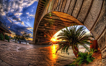 Sunset, bridge, clouds, r, palm HD wallpaper
