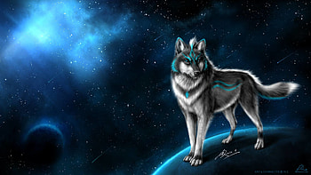 Cool Wolf Backgrounds | Latest Laptop HD wallpaper