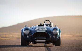 Shelby Cobra 289, , front view, 1964 cars, supercars, CSX 2473, 1964 Shelby Cobra, Shelby HD wallpaper
