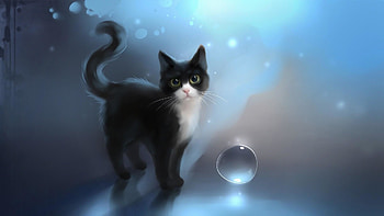 cool cat B2 HD wallpaper