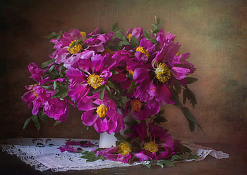 ღ, Flowers, Peonies, Pink, Table HD wallpaper