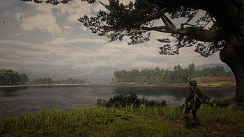 Red dead redemption 2, Red Dead Redemption 2 HD wallpaper