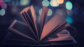 Background, Books HD wallpaper