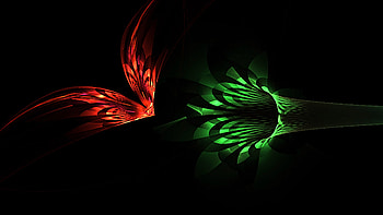 Thank You, cool, lovely, nice, beauty HD wallpaper