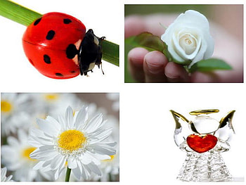 summer love, angel, ladybug, collage, flower HD wallpaper