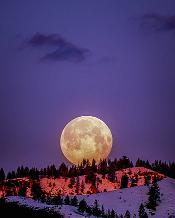 A breathtaking supermoon illuminating snow-covered hills under a purple sky in Wenatchee, WA. HD phone wallpaper