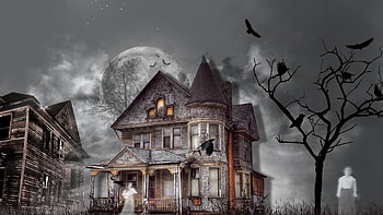 Tree, Haunted House, Halloween, Ghost, Dark, Holiday, Raven HD wallpaper