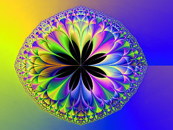 Rainbow Flower 2, night, blue, rainbow, flower, green, sun, gold HD wallpaper
