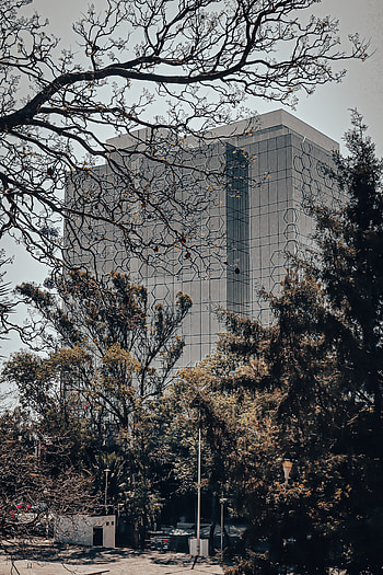 Building, view, oficina, city HD phone wallpaper