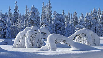 Amazing Snow Full Screen Background HD wallpaper