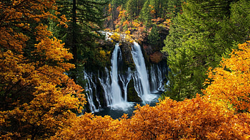 Burney Falls, California, fall, river, trees, autumn, colors, usa HD wallpaper