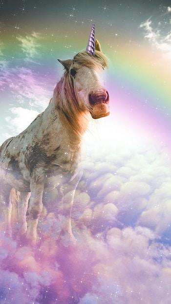 Unicorn, Unicorn Fantasy HD phone wallpaper