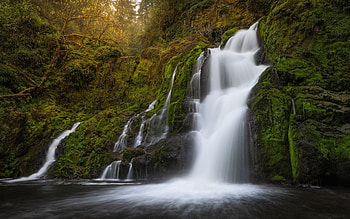 waterfall, forest, Columbia River Gorge, rocks, water, beautiful waterfall, Washington State, USA HD wallpaper