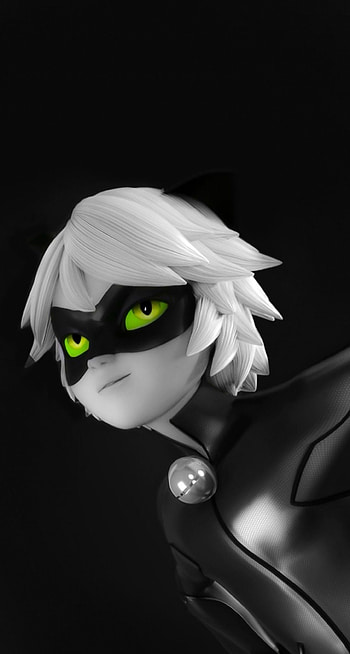 Cat Noir, Sunlit scenes, perfection HD phone wallpaper