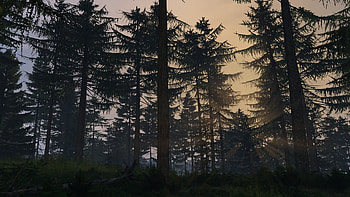 Sunrise, video game, DayZ HD wallpaper
