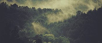 Hovering Fog - 21:9 Ultrawide () HD wallpaper