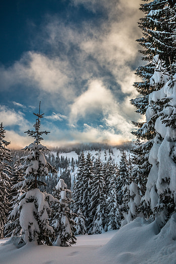 Winter, Nature, Sky, Mountains, Snow, Branches, Ate HD phone wallpaper