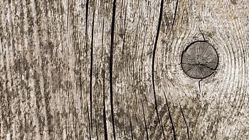 Old wood , Rustic charm, Vintage appeal, graphy HD wallpaper