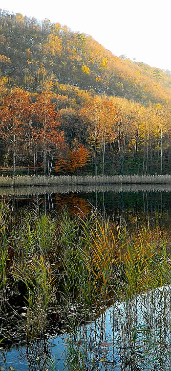 Lago Minisini 2, graphy, nature HD phone wallpaper