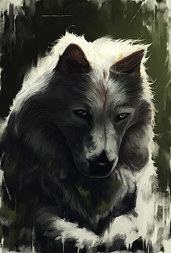 Art, Predator, Wolf, Sight, Opinion, Beast HD phone wallpaper