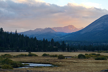 Nature, Trees, Grass, Mountains, Bush, Dahl, Distance HD wallpaper