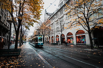 A tram travels down a leaf-strewn street in autumnal Zürich, Switzerland's urban landscape. HD wallpaper