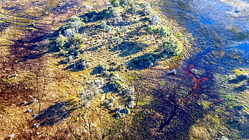 Okavango Delta, Natural World Safaris, African wildlife, Nature's beauty HD wallpaper