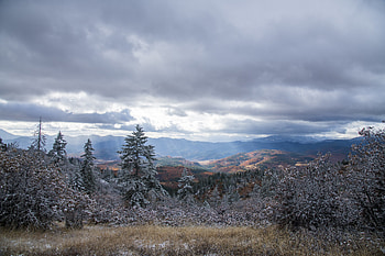 Nature, Trees, Mountains, Snow, Bush HD wallpaper