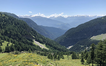 Crans-Montana, Valais, Switzerland, landscape, trees, sky, alps HD wallpaper