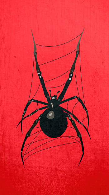 Red spider , resolution, , Vivid arachnids HD phone wallpaper