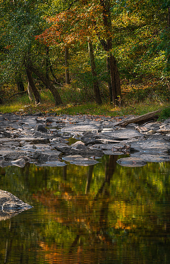Nature, Water, Trees, Stones, Lake, Shore, Bank HD phone wallpaper