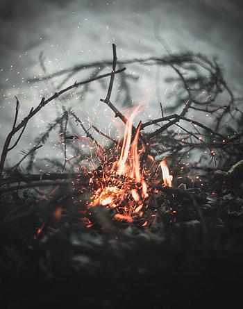 Bonfire, Fire, Sparks, Miscellanea, Miscellaneous, Blur, Smooth, Branches HD phone wallpaper