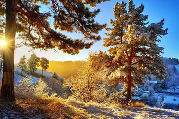 Winter sun, rays, winter, dazzling, beautiful, snow, valley, shine, trees, nature, sky, lovely, sun, village HD wallpaper