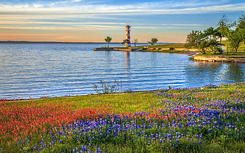 Spring Wildflowers of Lake Buchanan, near Llano, Texas, lighthouse, blossoms, sky, flowers, sunset, usa HD wallpaper