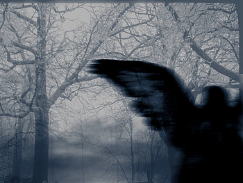 divine darkness, darkness, divine HD wallpaper