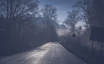 Road Tree Mist , road, tree, mist, nature HD wallpaper