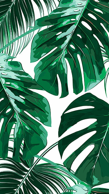 Leaves , Natural foliage, Earth's artwork, Nature's tapestry HD phone wallpaper