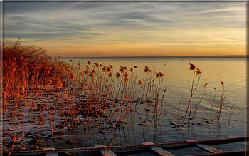 orange scenery, scenery, orange HD wallpaper