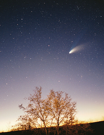 Hale-Bopp, Comets HD phone wallpaper