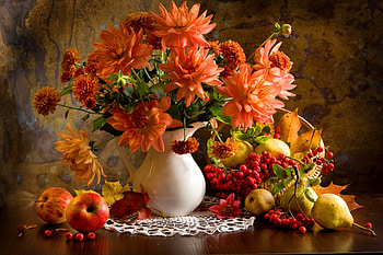 Still life, Fruits, Vase, Autumn, Apples HD wallpaper