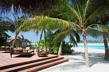 Nature, Beach, Sand, Palm, Tropics, Steps, Sofas HD wallpaper