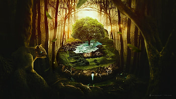 Title. Fantasy forest HD wallpaper