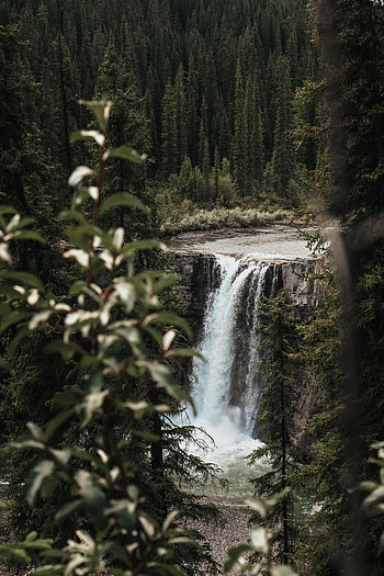 Nature, Trees, Waterfall, Branches, Break, Precipice, Flow HD phone wallpaper