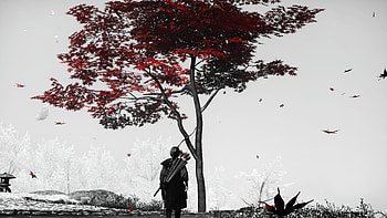 Ronin's Crimson Fall — Ghost of Tsushima, Action-Adventure, Ghost Of Tsushima, Fall Leaves HD wallpaper