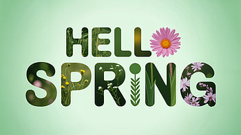 Hello Spring —, Spring, Flower, Greeting HD wallpaper