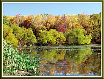 Beautiful Lake, trees, colors, lake, fall sky HD wallpaper