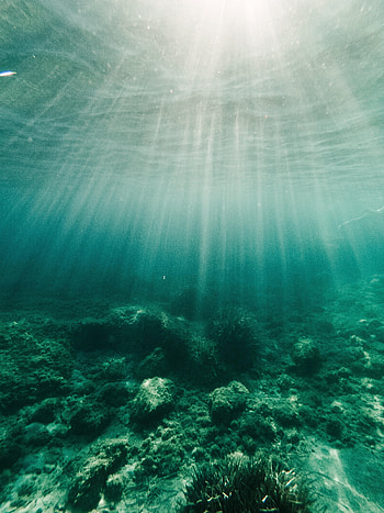Nature, Water, Beams, Rays, Seaweed, Algae, Bottom HD phone wallpaper